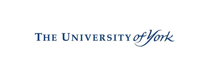 York Universitesi öğrenci görüşmeleri